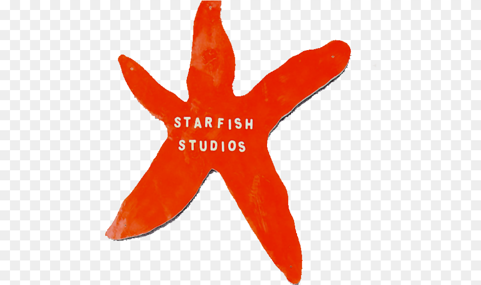 Starfish Youth Music Starfish, Animal, Sea Life, Invertebrate, Fish Png