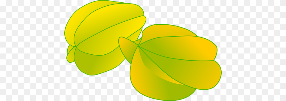 Starfruit Green, Leaf, Plant Free Transparent Png