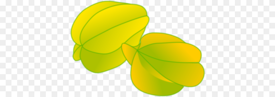 Starfruit Leaf, Plant, Flower, Petal Png Image