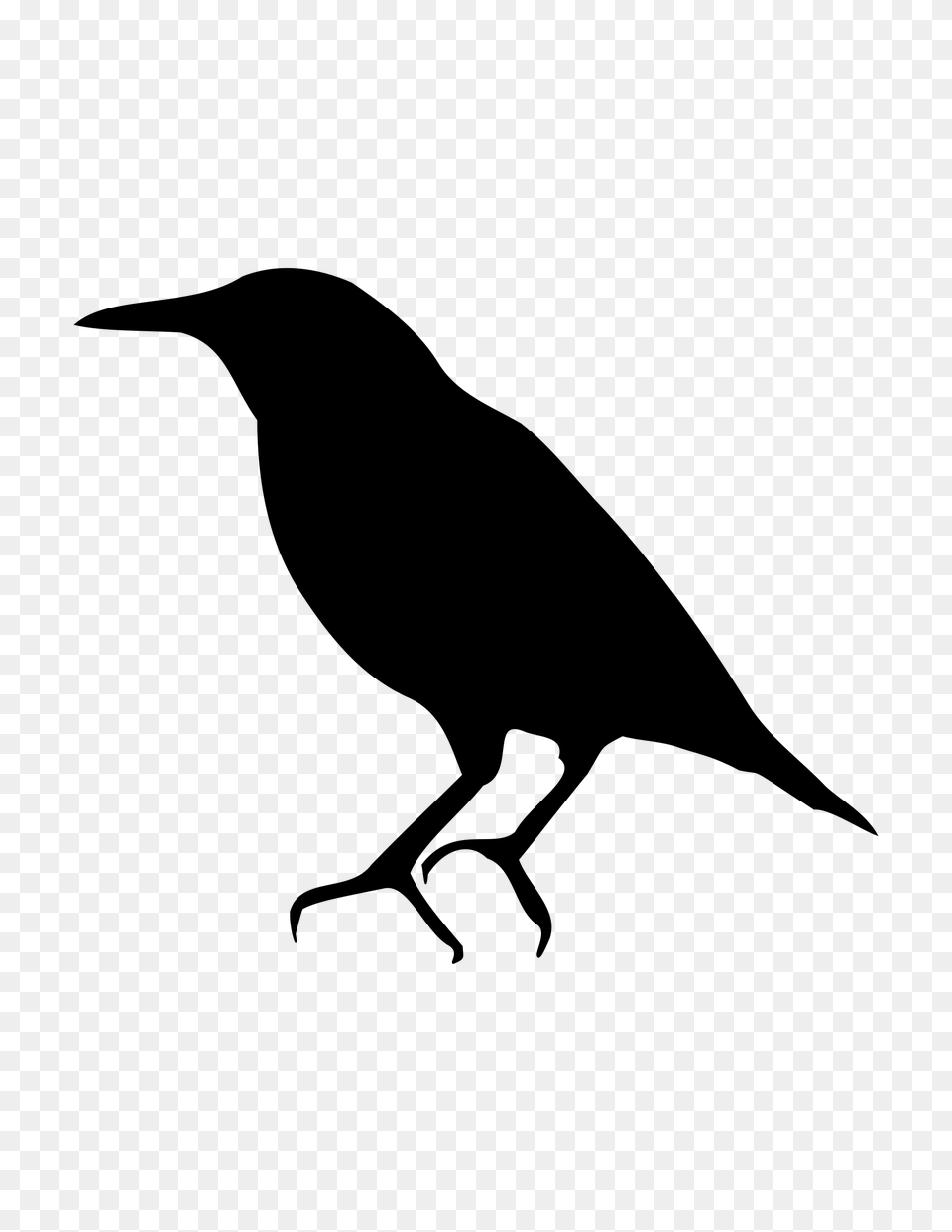 Starling Images Transparent Download, Gray Png