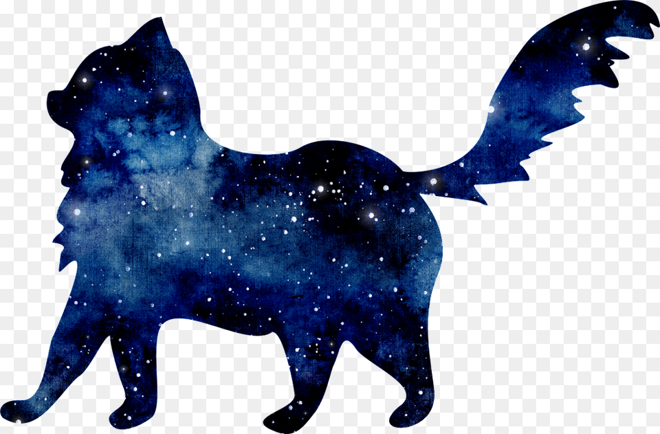 Starry Blue Kitten Cat, Nature, Night, Outdoors, Art Free Transparent Png
