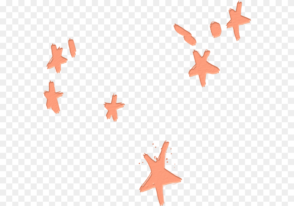Stars Orange Overlay Sticker Echinoderm, Animal, Bird Png