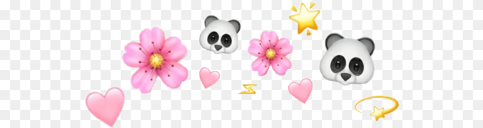 Stars Tumblr Overlay Cute Panda Aesthetic Love Hear Cute Anime Girl Aesthetic, Flower, Petal, Plant, Anemone Free Png