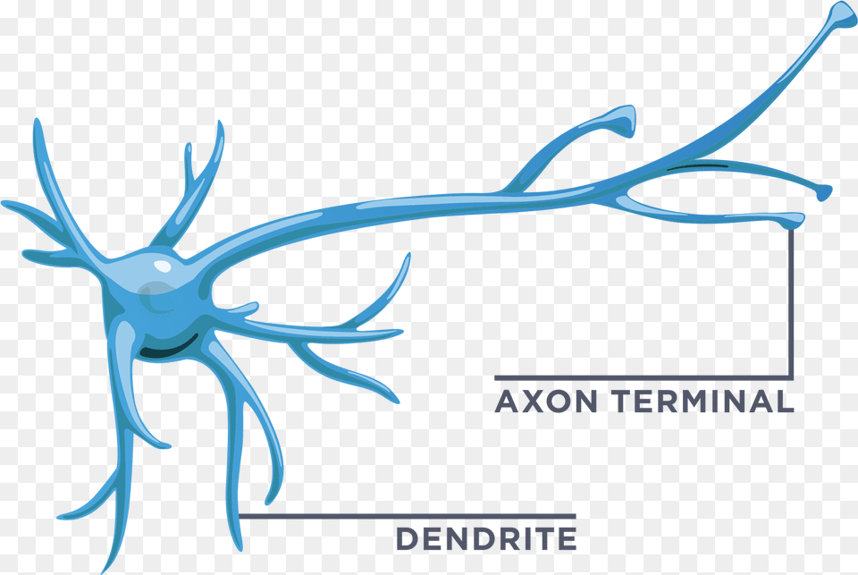 Start Your Own Neural Network By Connecting One, Antler, Bow, Weapon, Outdoors Png Image