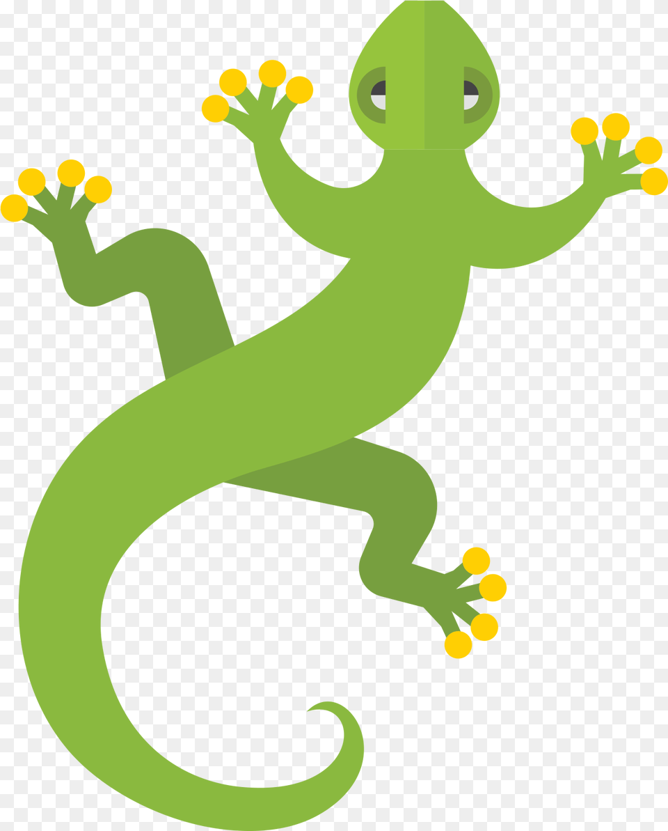 Starter Kits For A Range Of Reptiles Perfect For An Clip Art, Animal, Gecko, Lizard, Reptile Png Image