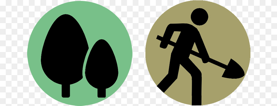 Starts A Grove 50 Gives A Tree Graphic Design, Symbol Png Image