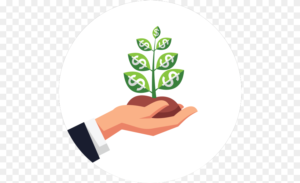 Startup Business Money Transparent Cartoons Illustration, Herbal, Herbs, Leaf, Plant Free Png Download