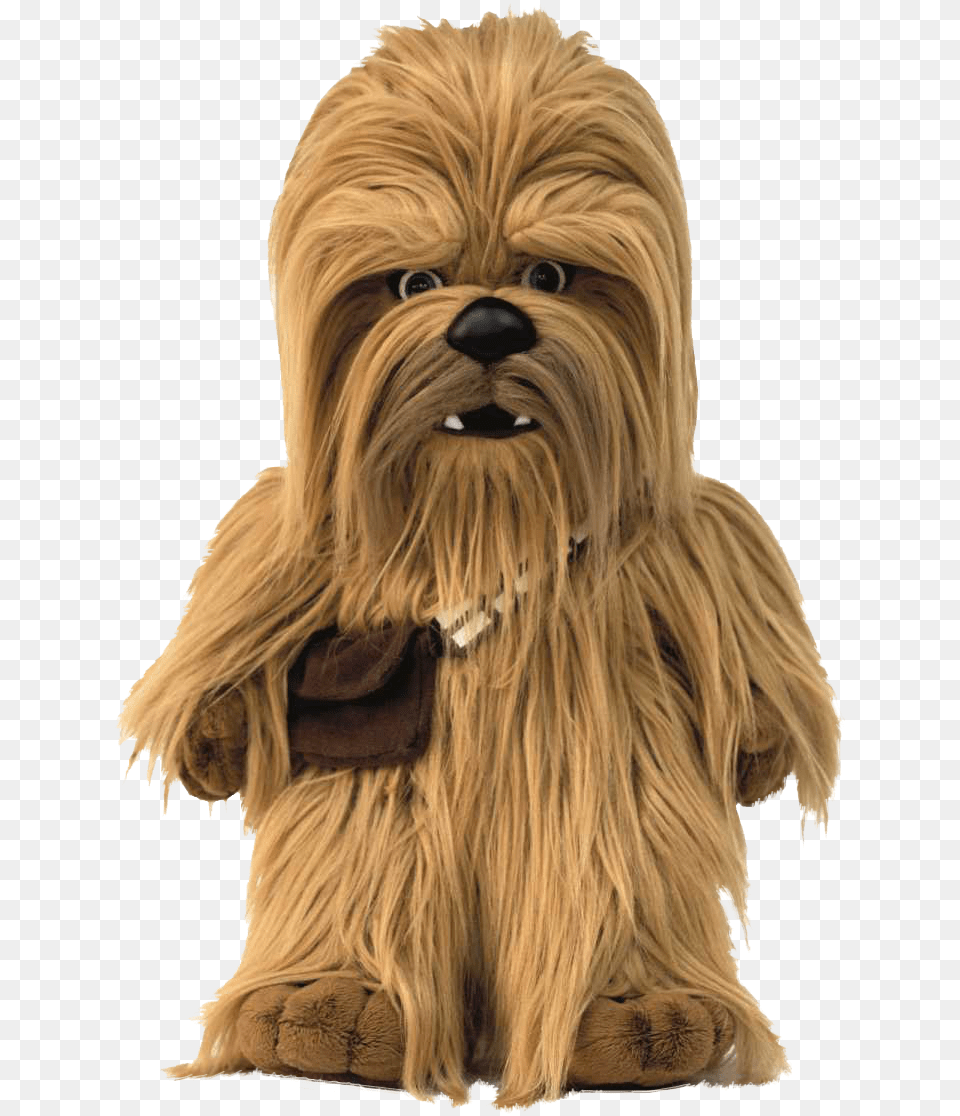 Starwars, Animal, Canine, Dog, Mammal Png Image