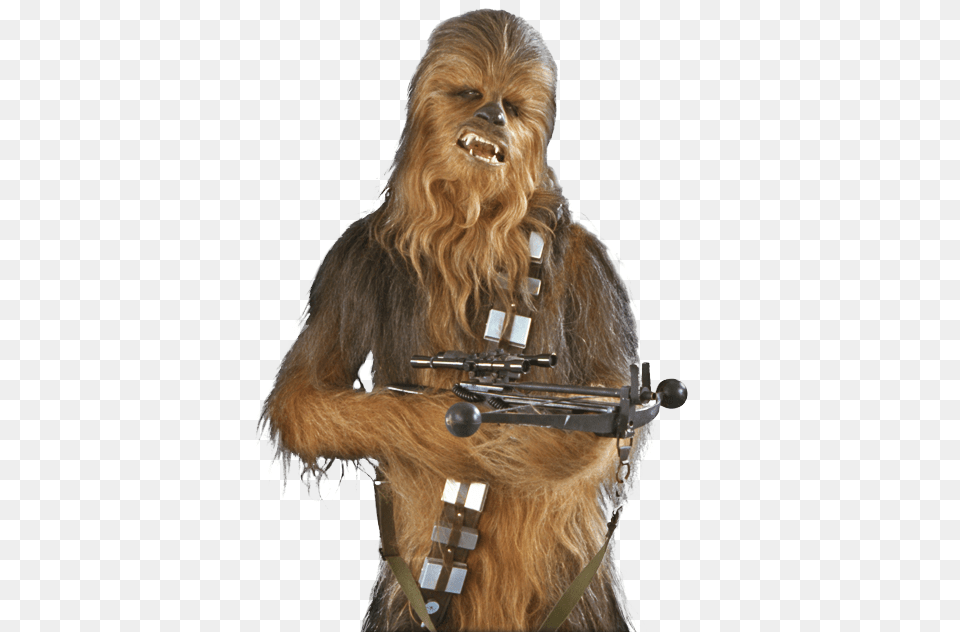 Starwars, Animal, Canine, Dog, Mammal Free Png Download