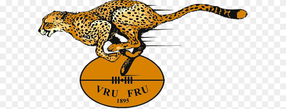 State Cheetahs Rugby Logo, Animal, Cheetah, Mammal, Wildlife Free Png Download