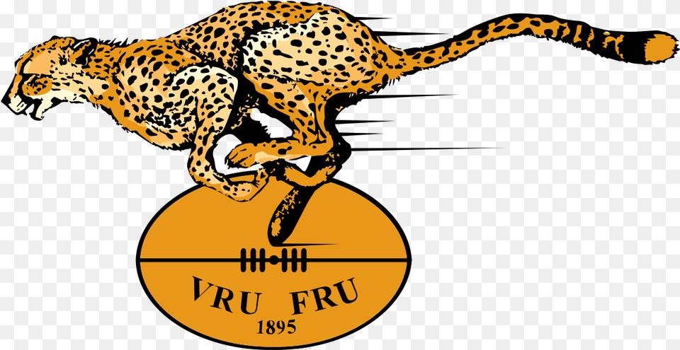 State Cheetahs State Cheetahs Logo, Animal, Cheetah, Mammal, Wildlife Free Png