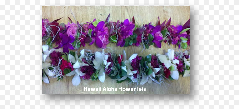State Nickname Is The Aloha State Bougainvillea, Accessories, Flower, Flower Arrangement, Ornament Png Image