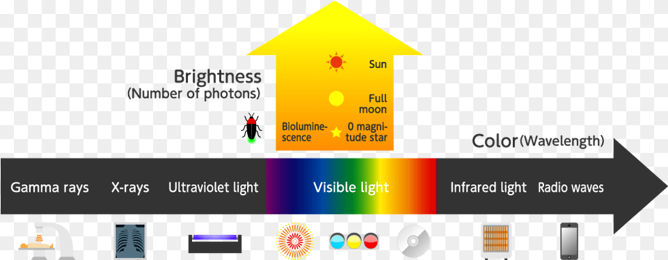 State Of Light Photons Of Light Diagram, Text Free Png Download