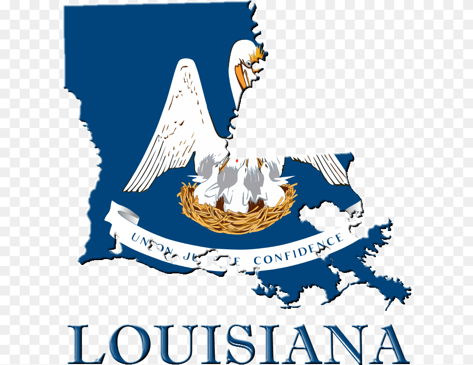 State Of Logo By Louisiana Flag, Animal, Bird, Eagle, Bald Eagle Png