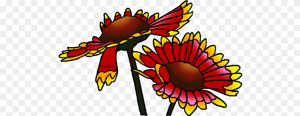 State Wild Flower Of Oklahoma, Daisy, Petal, Plant, Pattern Png