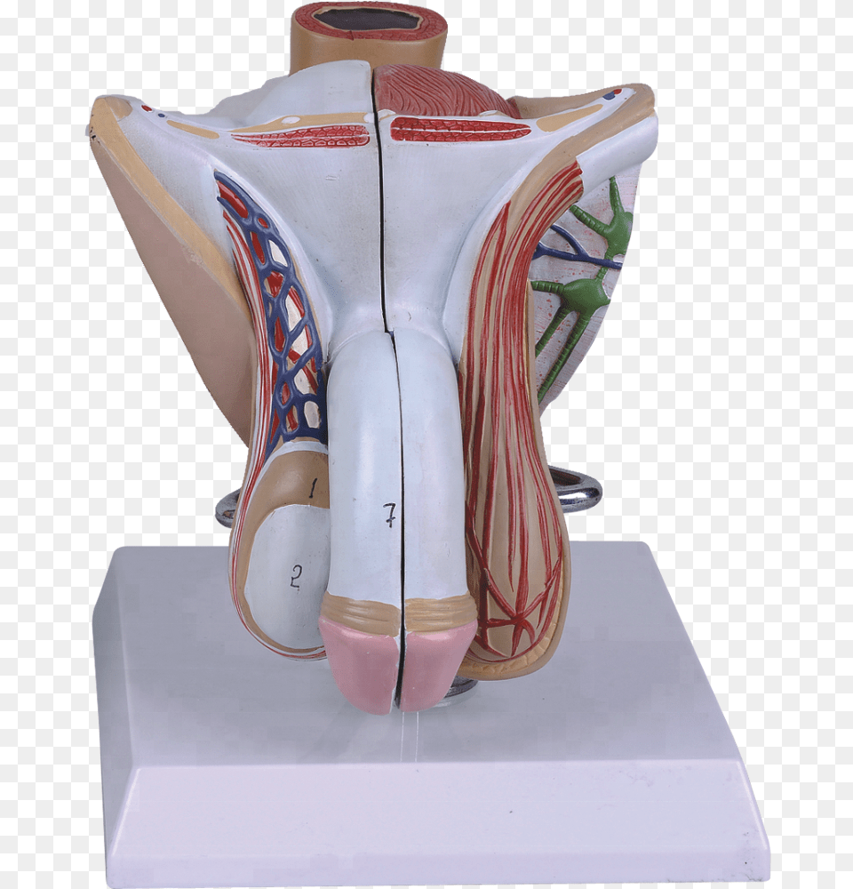 Statue, Body Part, Person, Torso, Pottery Free Png