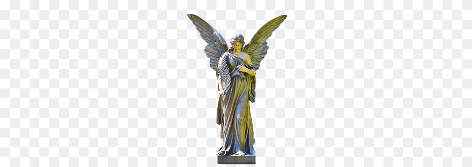 Statue Angel, Adult, Male, Man Free Png Download