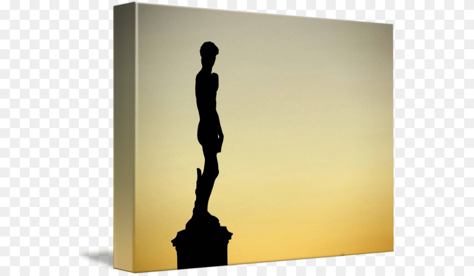 Statue Of David Silhouette By Matthew Mills Silhouette, Adult, Male, Man, Person Free Png Download
