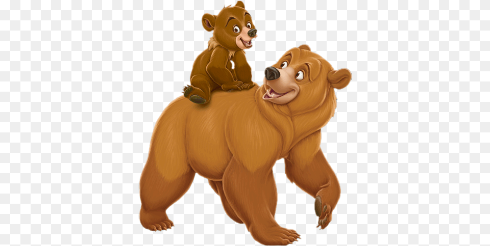 Status Brother Bear Book, Animal, Mammal, Wildlife, Brown Bear Free Png Download