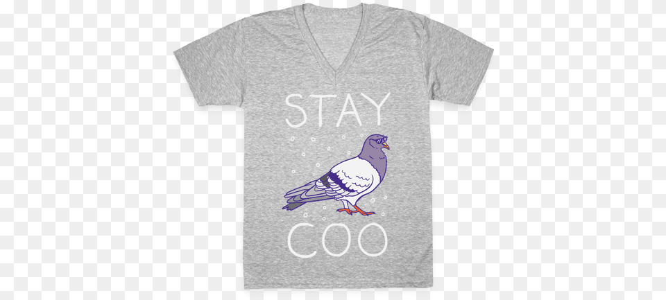 Stay Coo Pigeon V Neck Tee Shirt Pop Epic Team T Shirts, Clothing, T-shirt, Animal, Bird Png