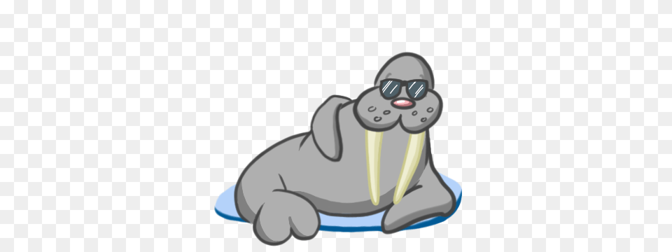 Stay Cool, Animal, Mammal, Sea Life, Walrus Free Png Download