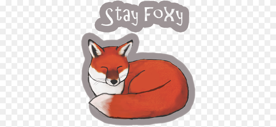 Stay Foxy Shower Curtain Red Fox, Animal, Mammal, Wildlife, Canine Png