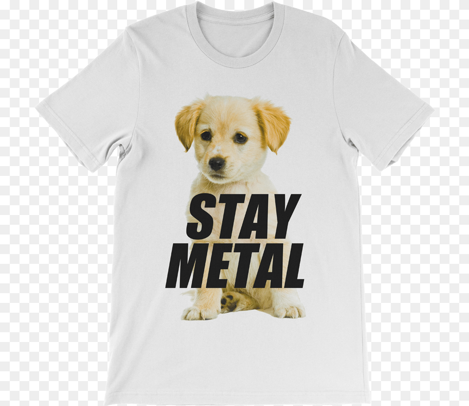 Stay Metal Golden Pup Puppy, Clothing, T-shirt, Animal, Canine Free Png Download