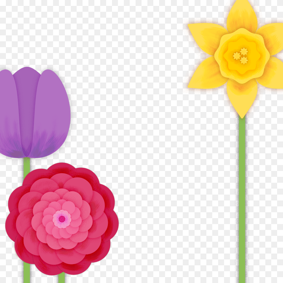 Steal These Spring And Easter Profile Picture Frames, Dahlia, Flower, Plant, Daffodil Png Image