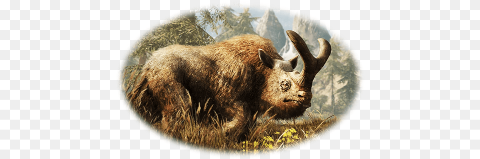 Steam Community Guide Rare Animals Of Oros Finding Far Cry Primal Animals, Animal, Bear, Mammal, Wildlife Free Png Download