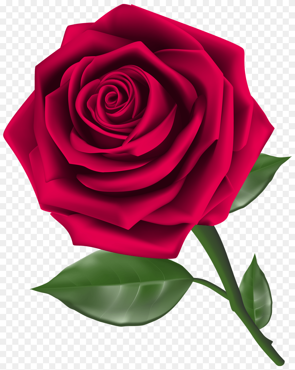 Steam Rose Clipart Png Image