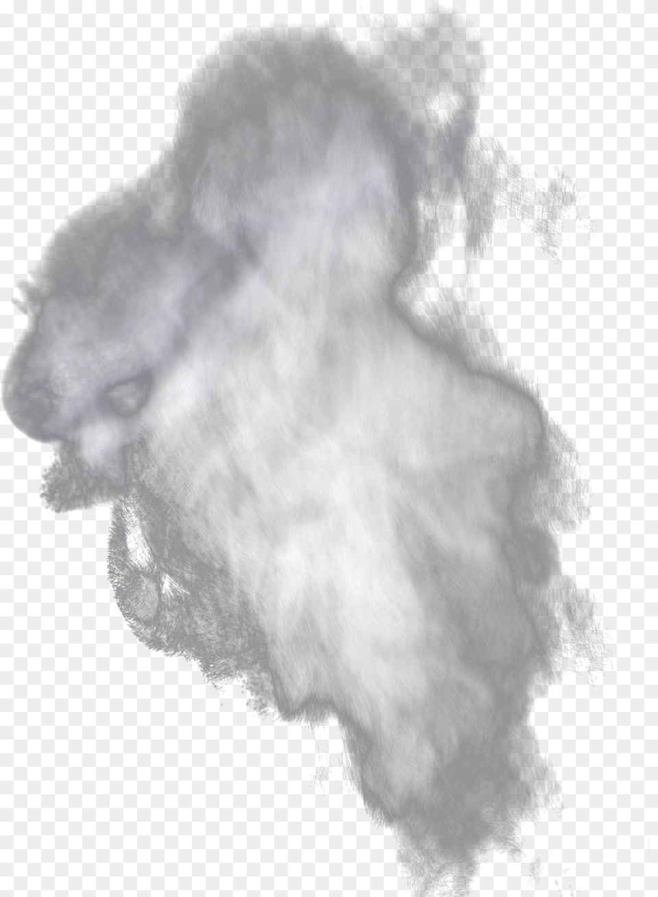 Steam Smoke Fog, Adult, Bride, Female, Person Free Transparent Png