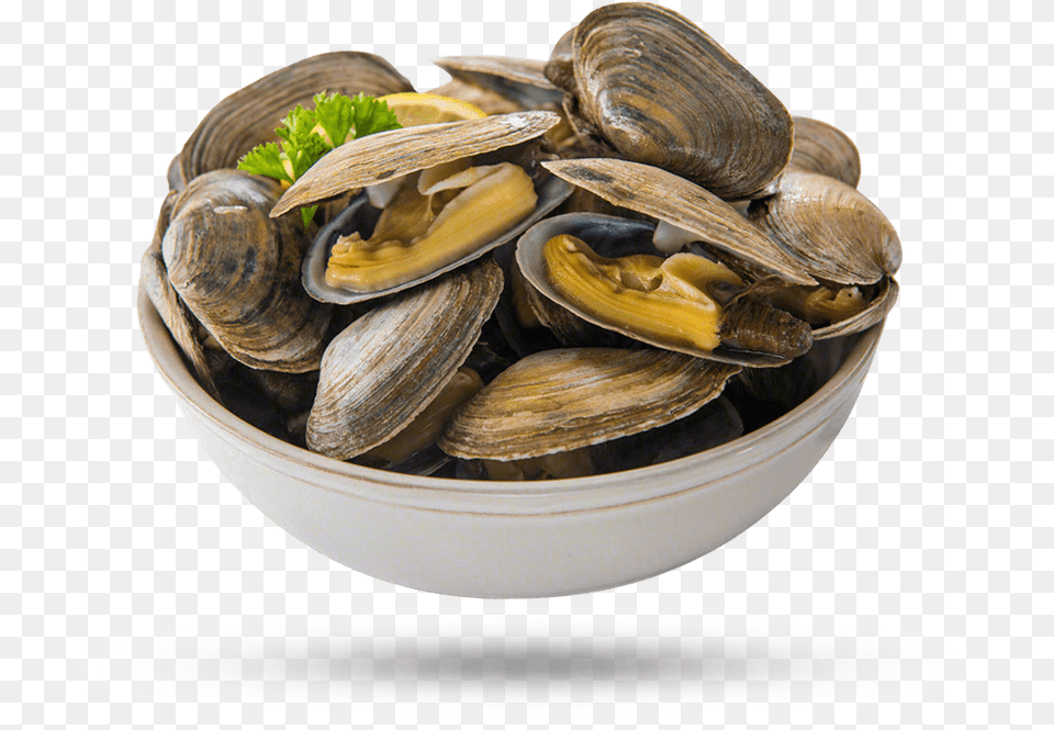 Steamer Clams Cooked Clam Animal, Food, Invertebrate, Sea Life Free Transparent Png
