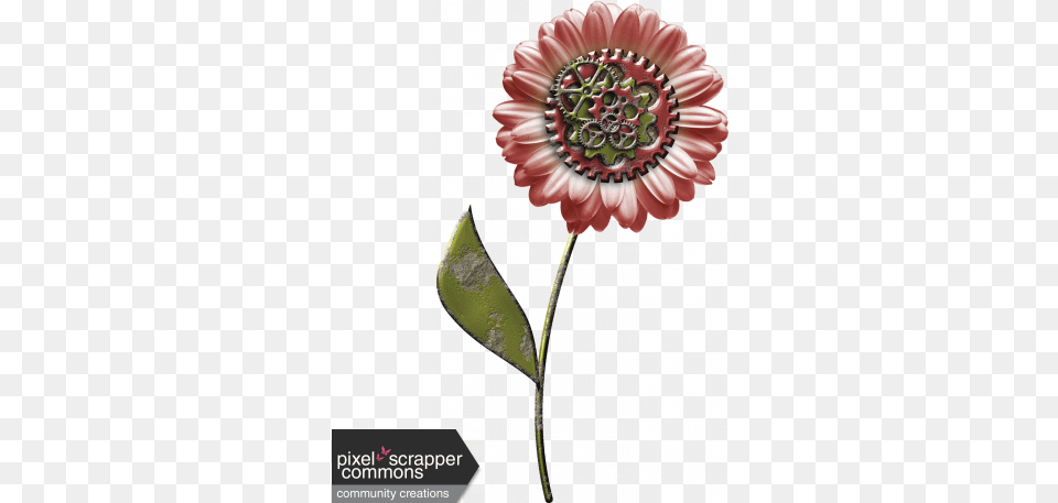 Steampunk Flower 02 Graphic By Gina Jones Pixel Scrapper Artificial Flower, Dahlia, Plant, Daisy, Petal Free Png Download