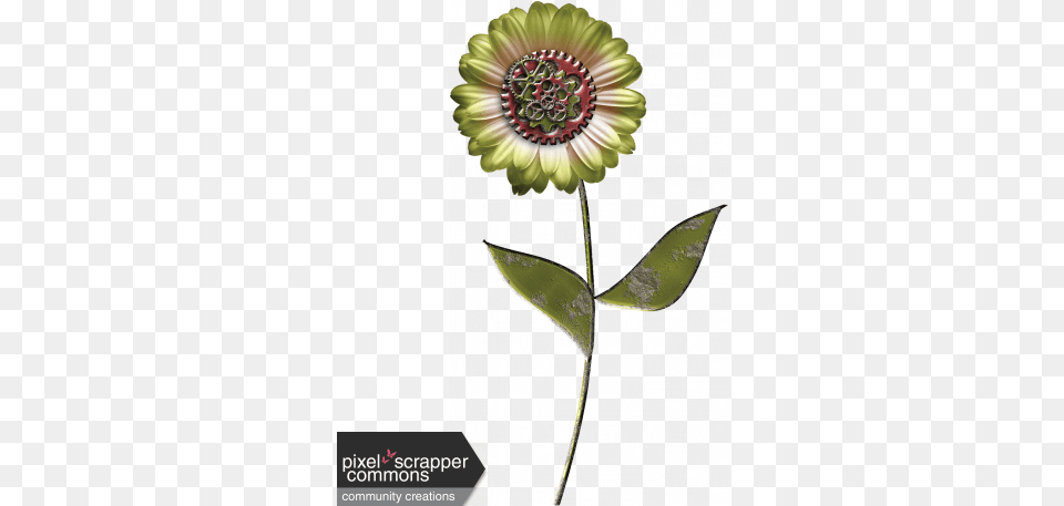 Steampunk Flower 03 Graphic By Gina Jones Pixel Scrapper Common Zinnia, Dahlia, Plant, Daisy, Petal Png Image