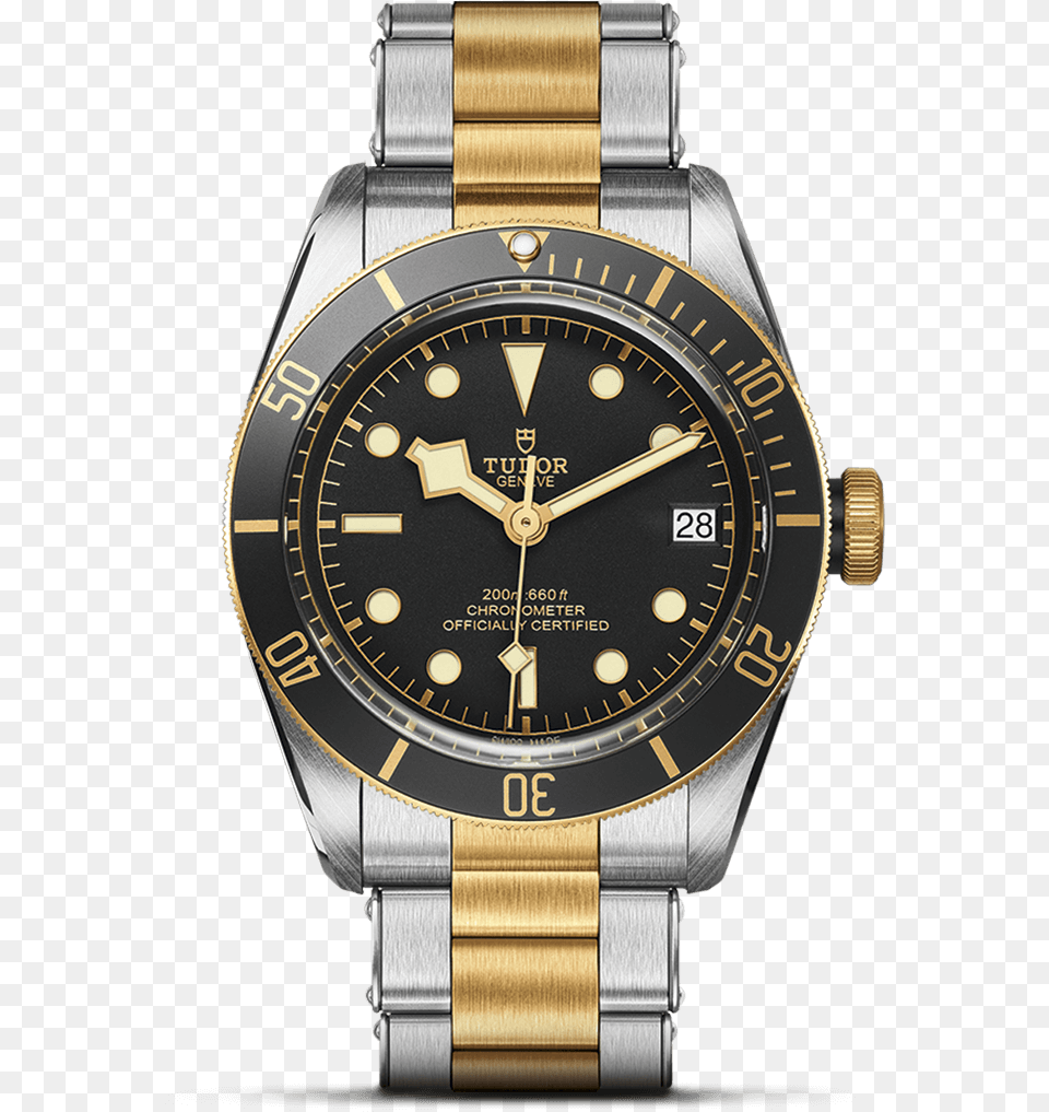 Steel And Yellow Gold Bracelet Tudor Heritage Black Bay Sampg, Arm, Body Part, Person, Wristwatch Png Image