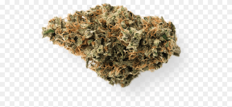 Steel Bridge Steel Bridge Strain Review, Plant, Weed Free Png