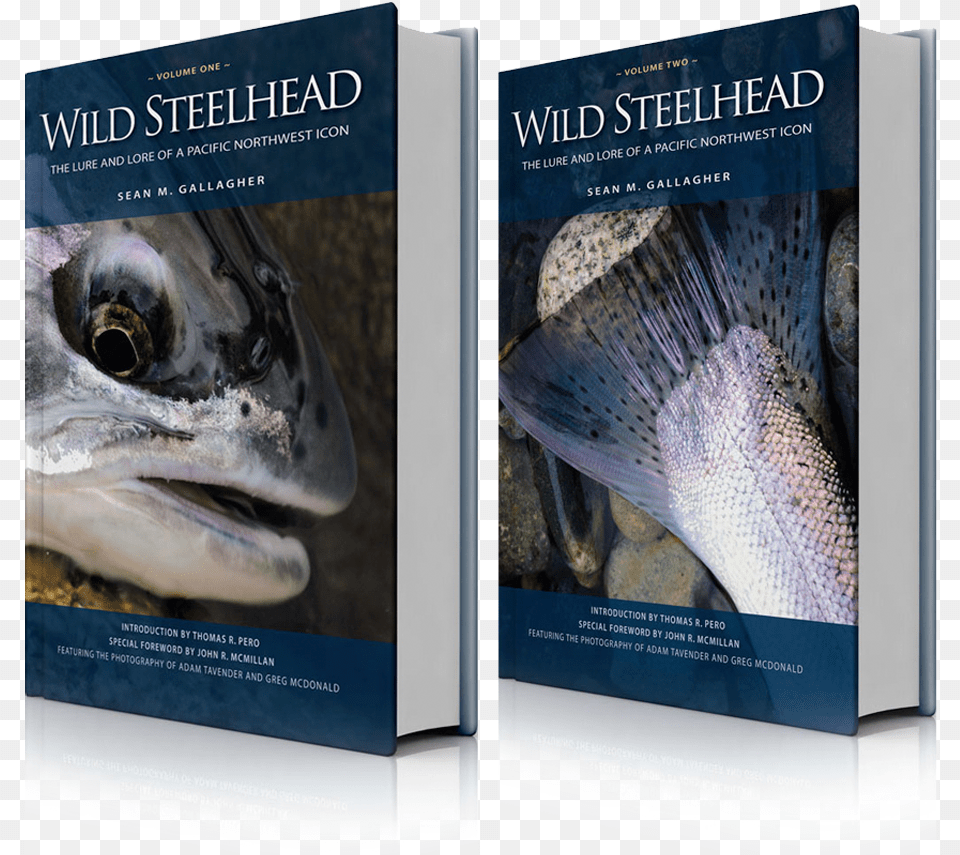 Steelhead Book, Publication, Animal, Fish, Sea Life Free Png Download