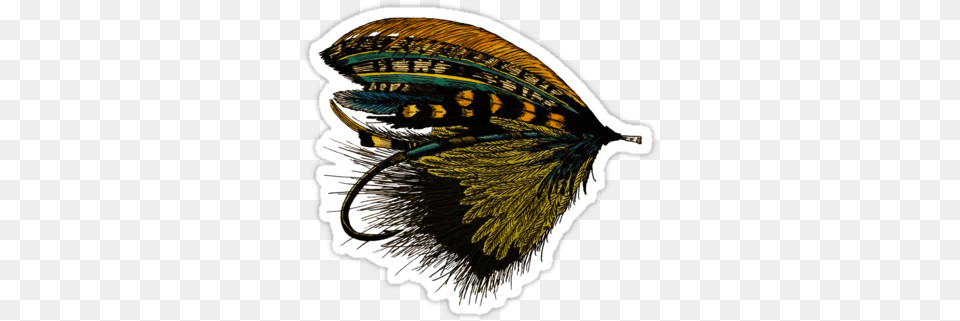 Steelhead Fly Inspired By The Rivers Of British Columbia T Shirt, Animal, Bee, Bird, Insect Png Image