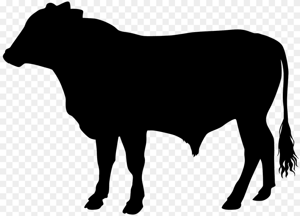 Steer Silhouette, Animal, Bull, Ox, Cattle Png Image