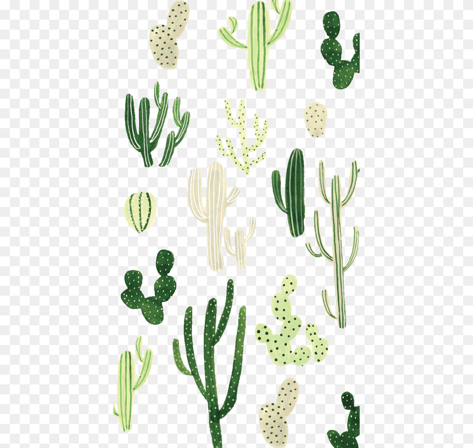 Steffi Lynn Cactus Wallpaper Iphone, Plant Free Transparent Png