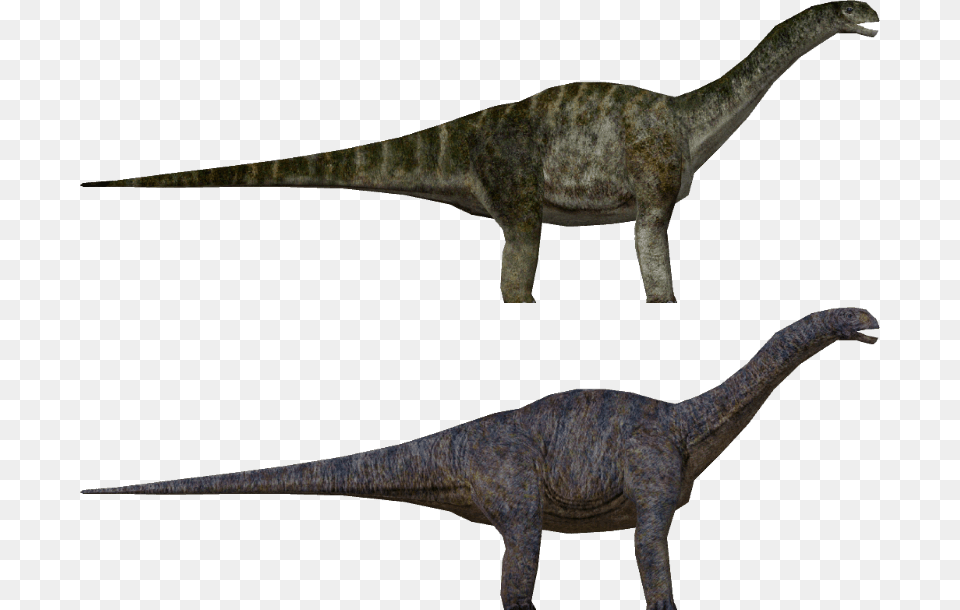 Stegosaurus, Animal, Dinosaur, Reptile, T-rex Png Image