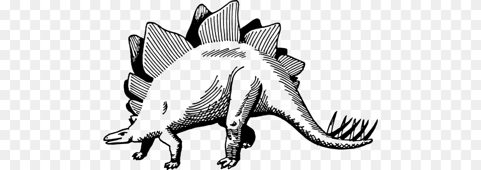 Stegosaurus Gray Png Image