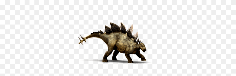 Stegosaurus, Animal, Dinosaur, Reptile Png Image