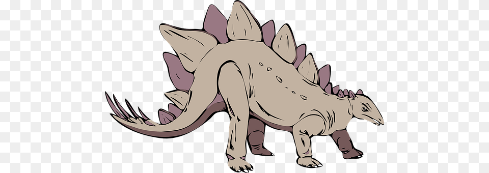 Stegosaurus Baby, Person, Animal, Dinosaur Free Transparent Png