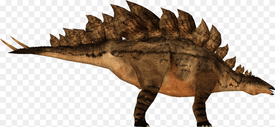 Stegosaurus Carpet, Animal, Dinosaur, Reptile, T-rex Free Png Download