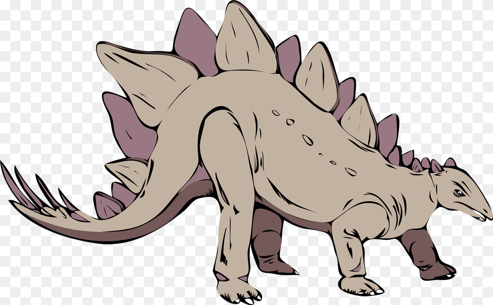 Stegosaurus Clipart, Baby, Person, Animal, Dinosaur Png