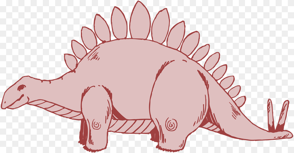 Stegosaurus Clipart, Animal, Mammal, Wildlife, Fish Free Png