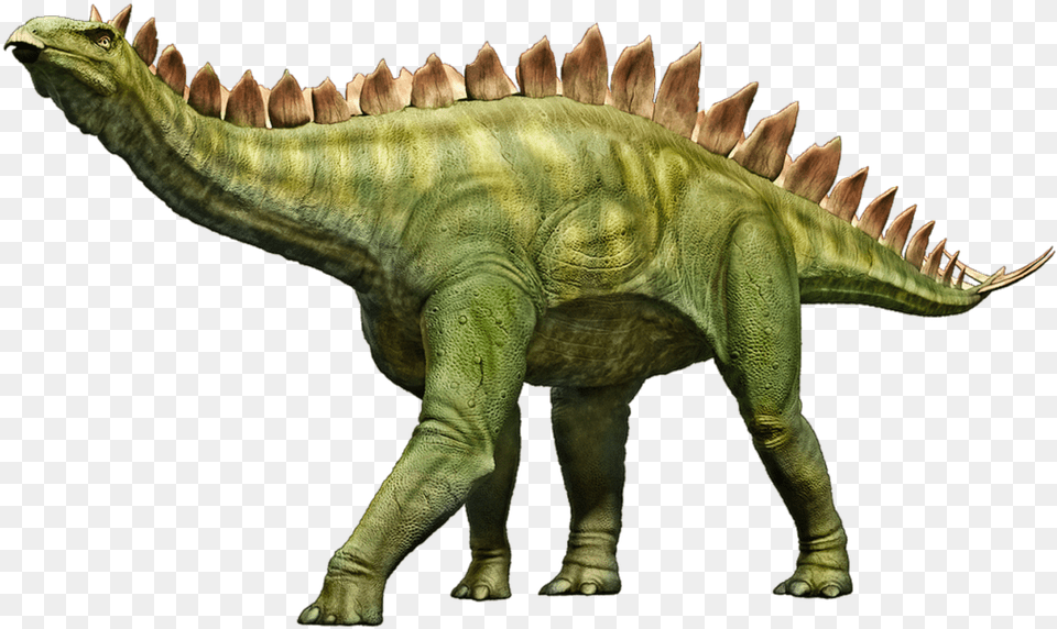 Stegosaurus Dinosaur Stego Dino Prehistoric, Animal, Reptile, T-rex Free Png Download