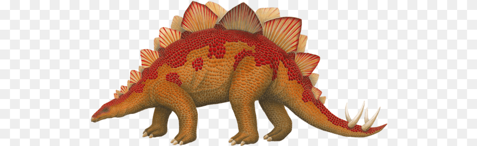 Stegosaurus Dinosaur Wall Decal Sticker Large Dinosaur, Animal, Fish, Sea Life, Reptile Free Png Download