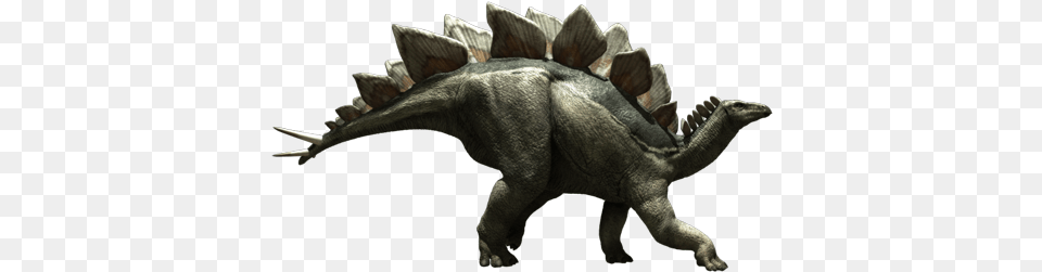 Stegosaurus Jurassic Fight Club Stegosaurus, Animal, Dinosaur, Reptile Free Png Download